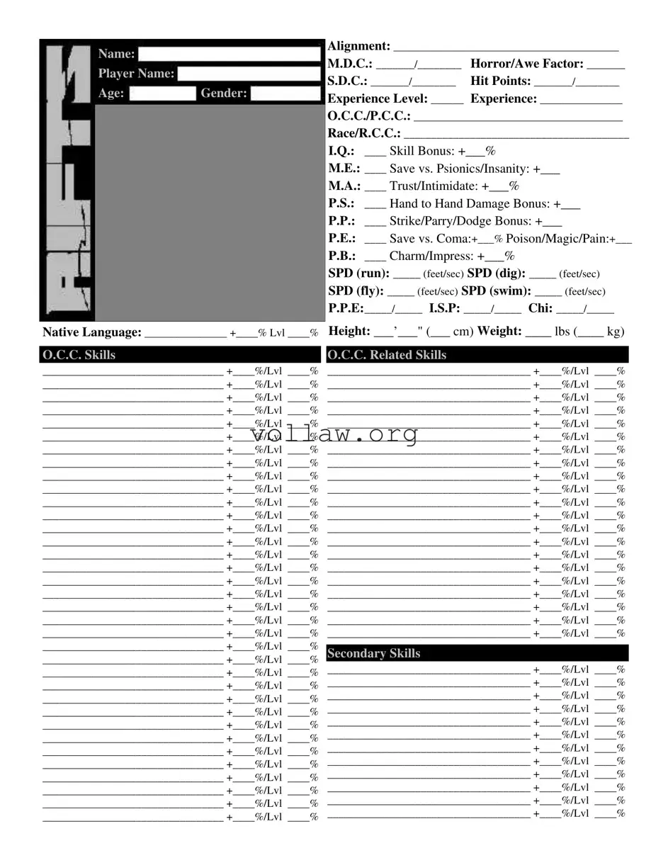 Rifts Sheet Template