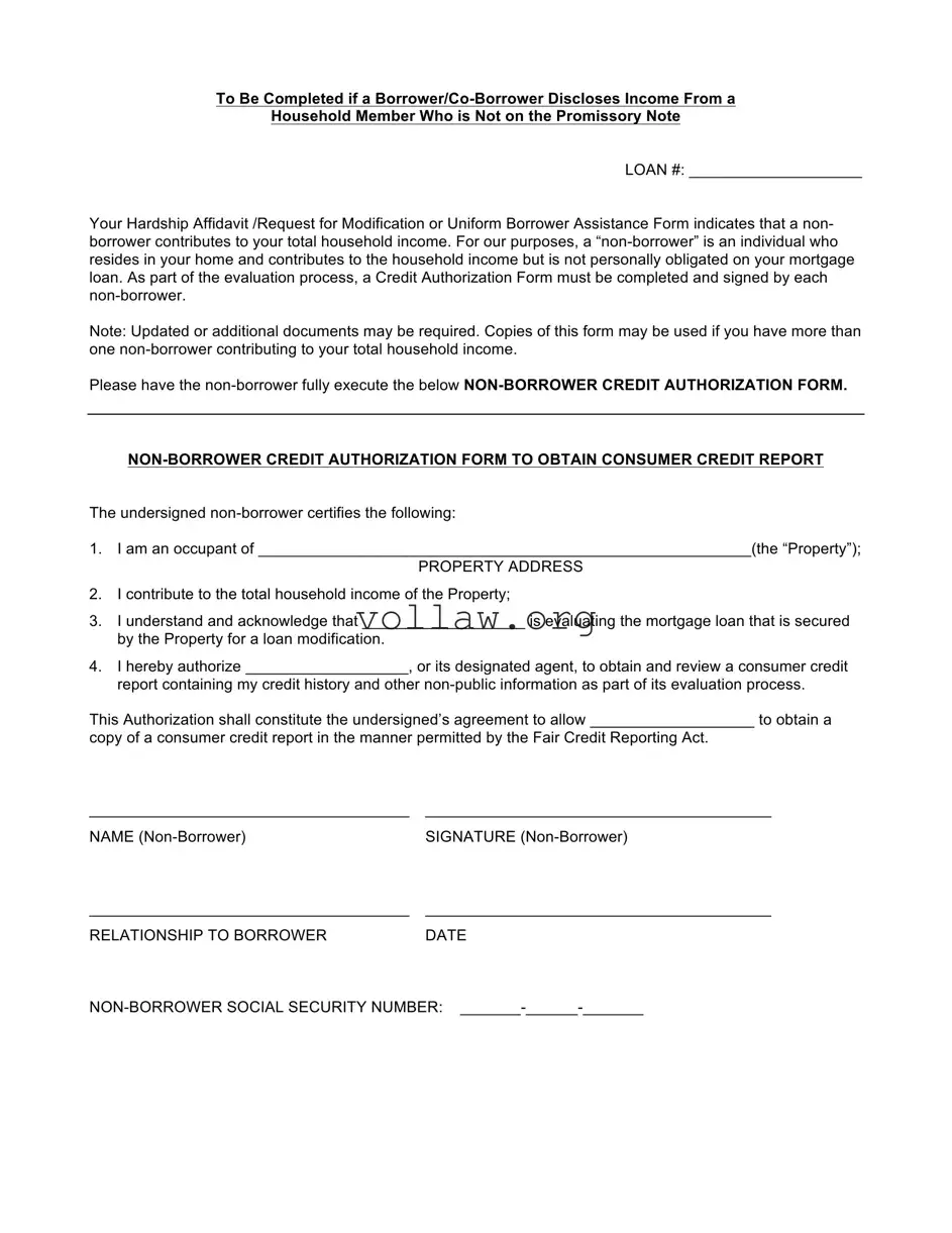 Non Borrower Credit Authorization Template