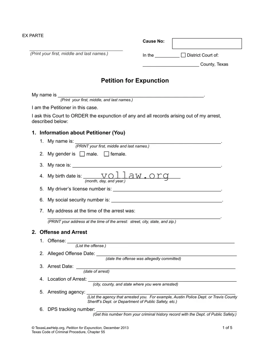Petition Expunction Texas Template