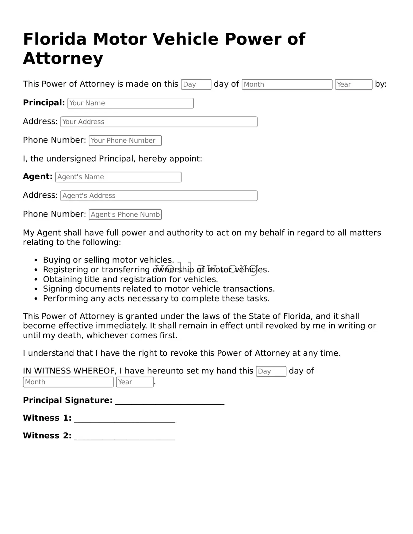 Attorney-Verified  Motor Vehicle Power of Attorney Form for Florida