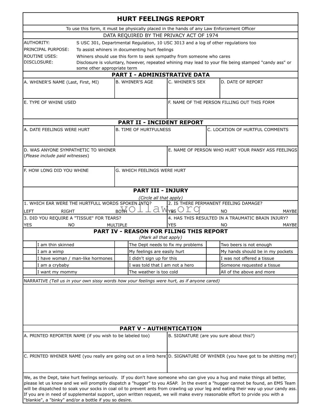 Hurt Feelings Report Template