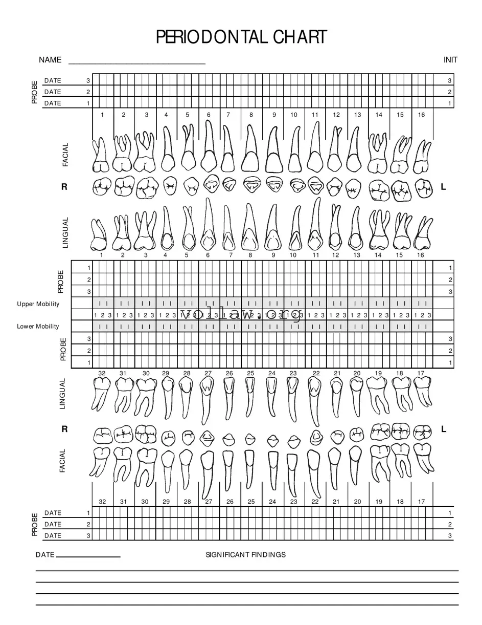 Perio Chart Template